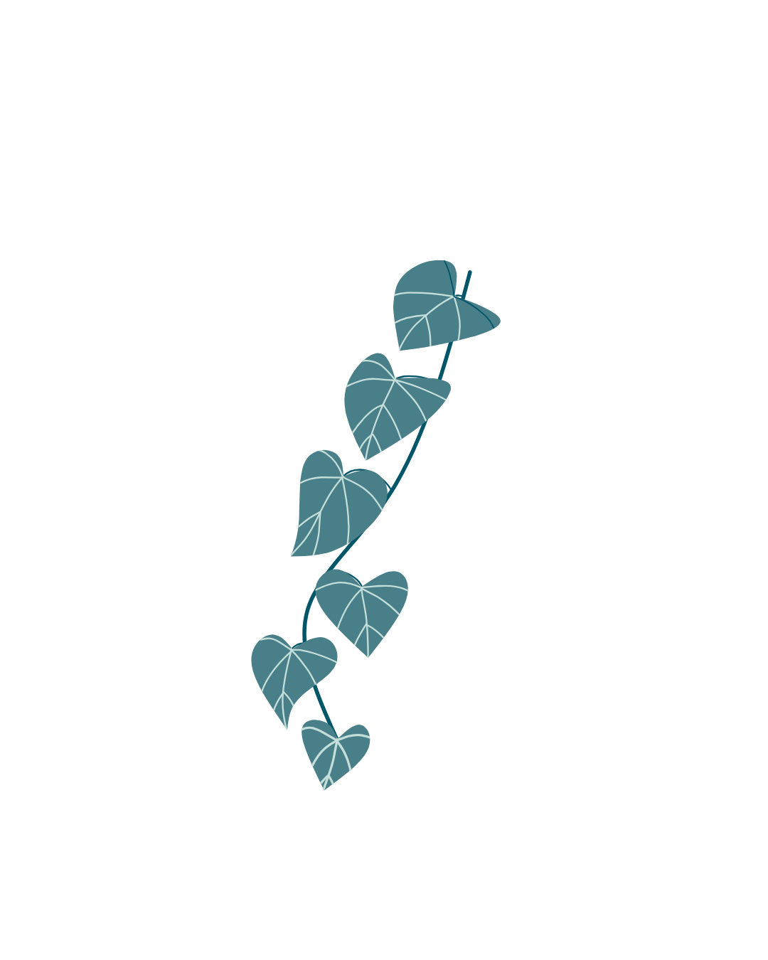 Klimplant