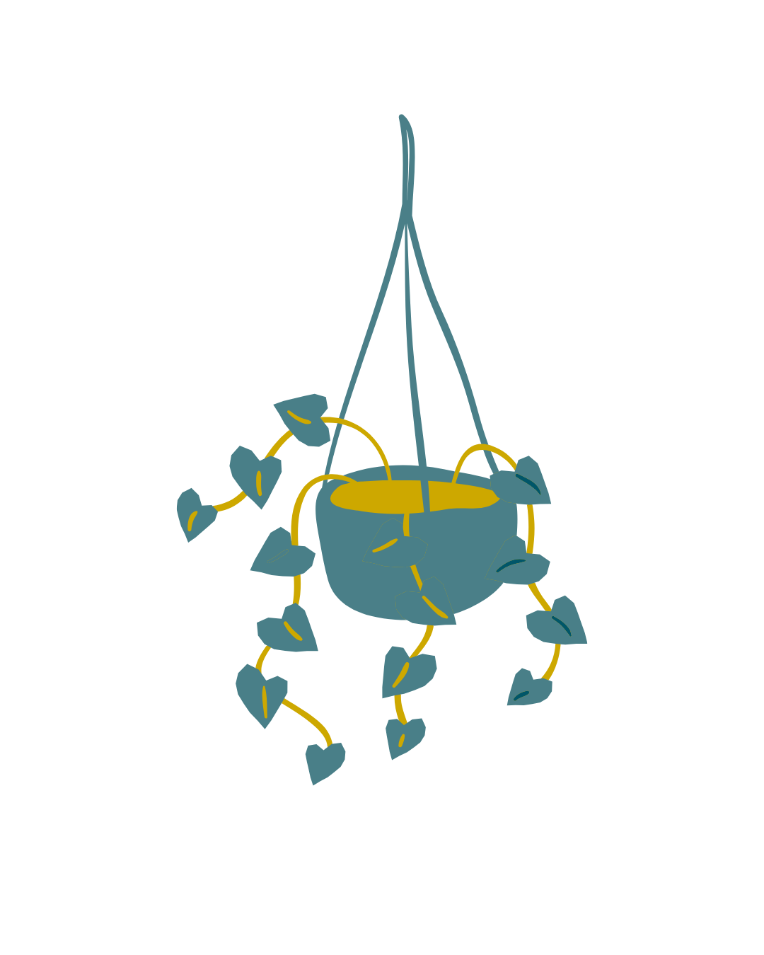 Hangplantje